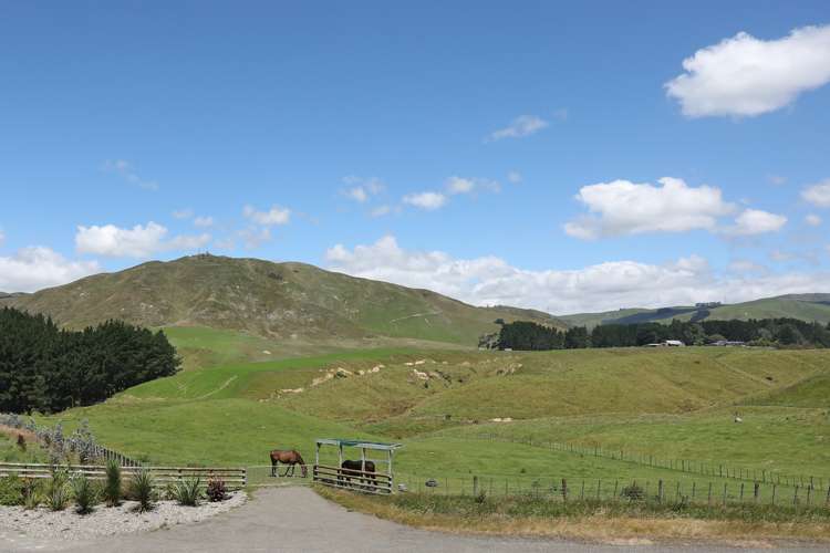 50 Highland View Drive Tokomaru_8