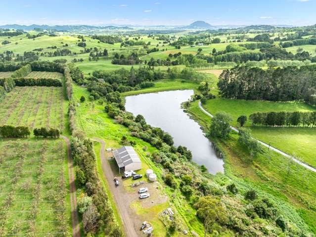 100E Hodge Road Ruatangata West_2