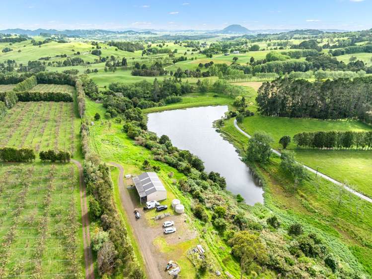 100E Hodge Road Ruatangata West_2