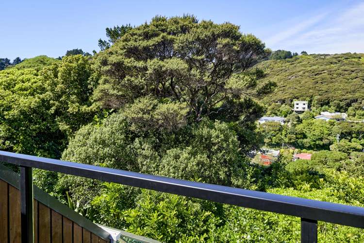 46 Gordon Road Plimmerton_15