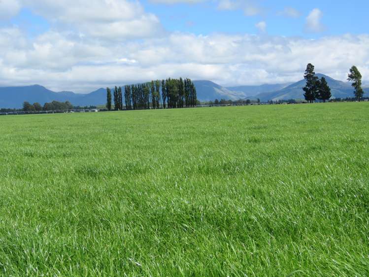 128 Flemings Road Methven_6