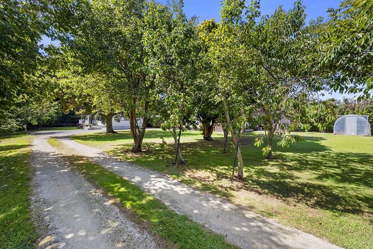 359a Tukapa Street Hurdon_24