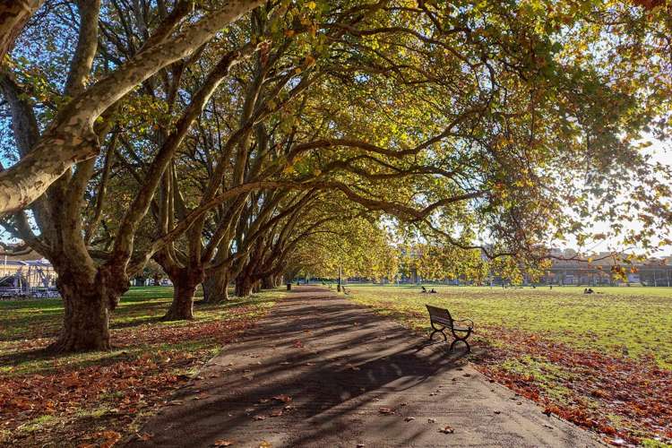 101/5 Howe Street Auckland Central_29