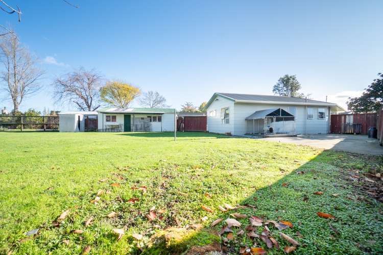 49 Escort Grove Awapuni_2