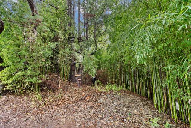 73 Great North Road Te Kamo_4