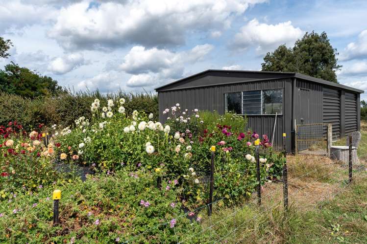 57 Sainsbury Road Puketaha_20