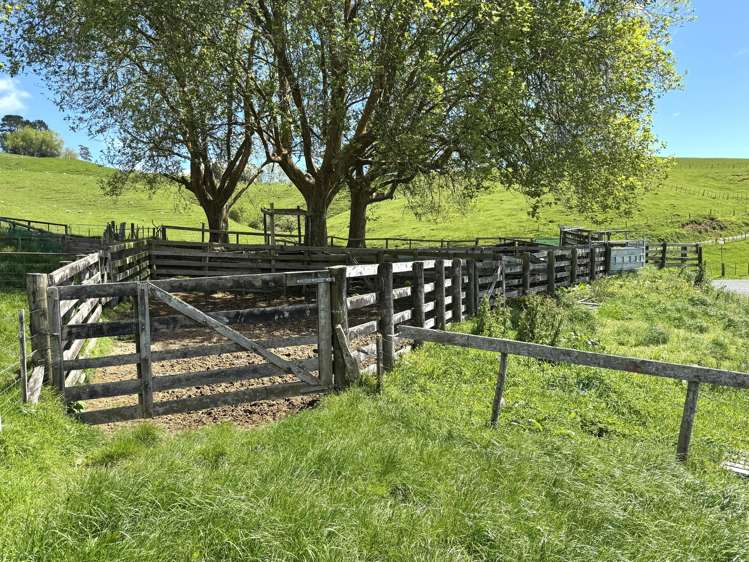 3/585 O'Shea Road Pirongia_25