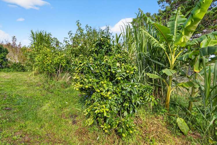 263A Raepare Creek Lane Kaiwaka_11