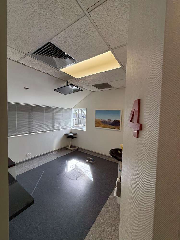 3 Ely Avenue Remuera_10