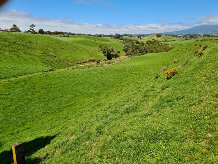 629 South Road Omata_15