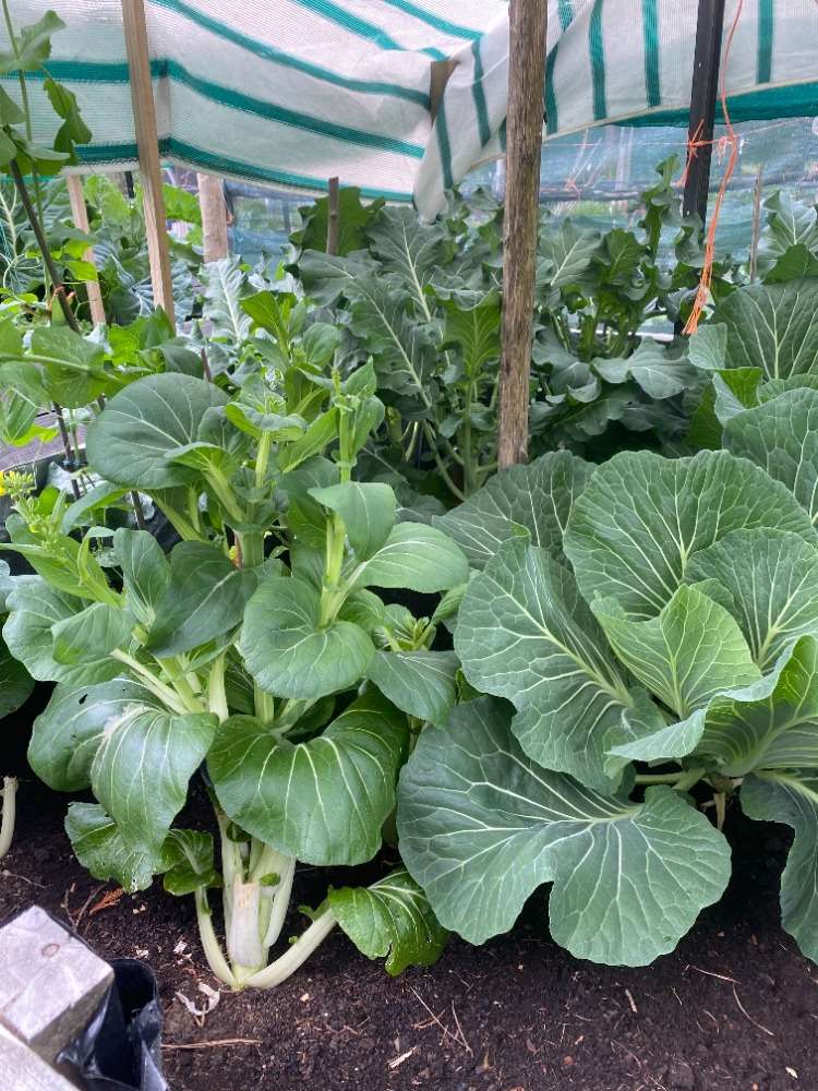 415 Woodbank Road Hanmer Springs_20