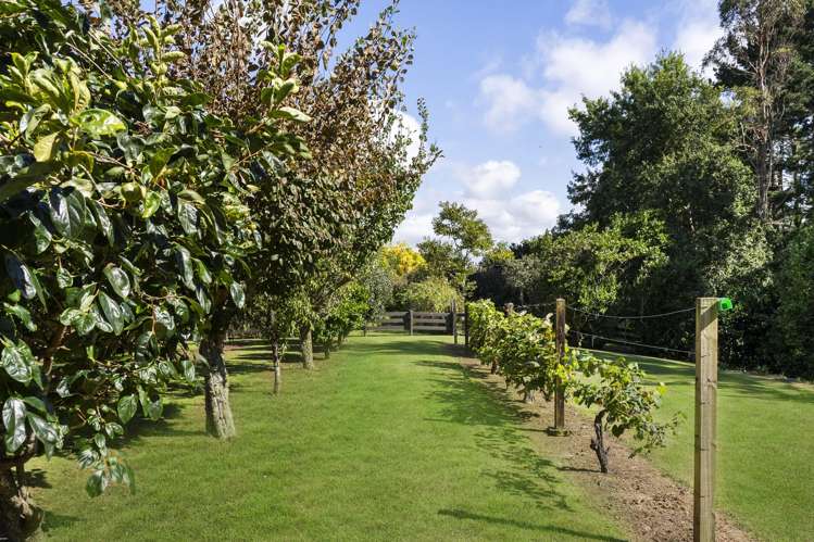 90A Ranfurly Road Alfriston_20