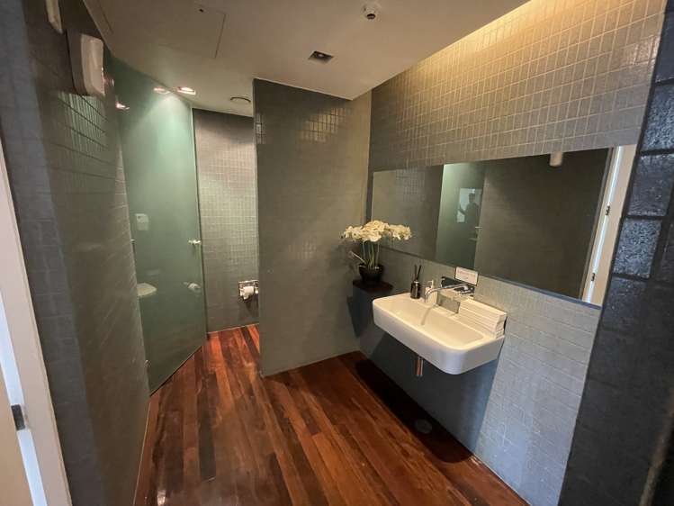 38 Ponsonby Road Grey Lynn_22