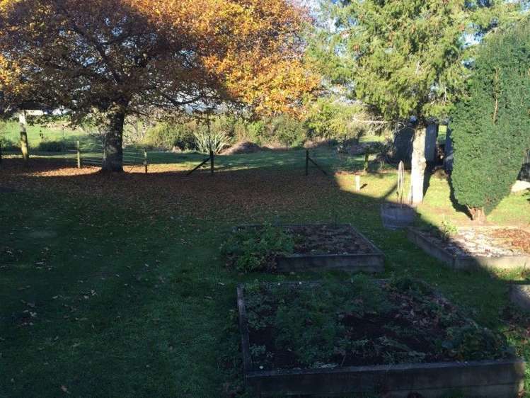 311 Opunake Road Cardiff_41