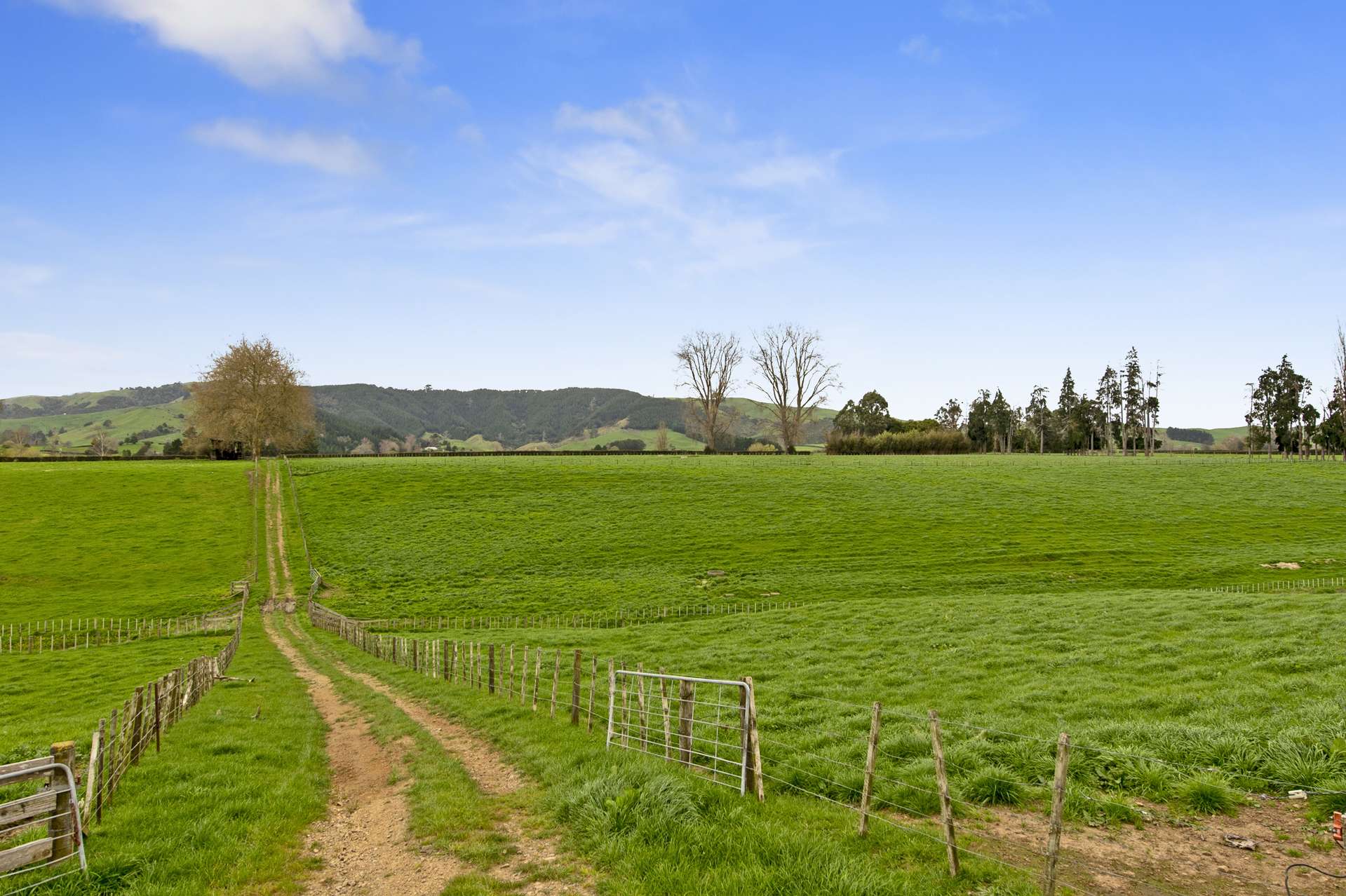 1/187 Parklands Road Rotoorangi_0