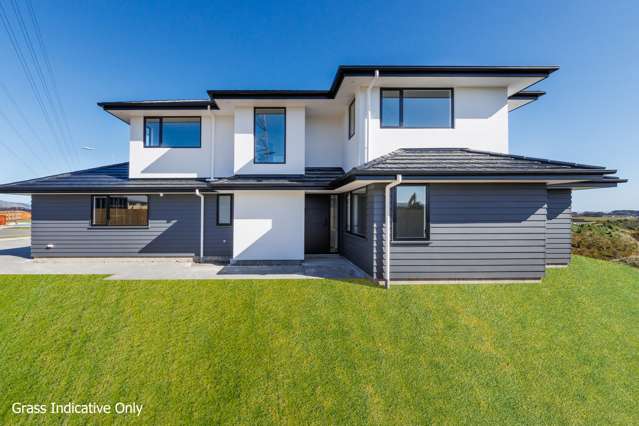 Large Family Home - Pacific Heights