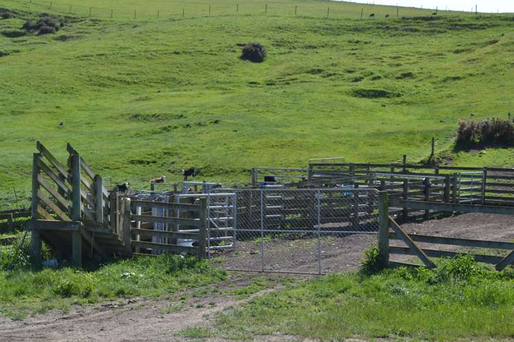 600 Island Stream Road Five Forks and Surrounds_8