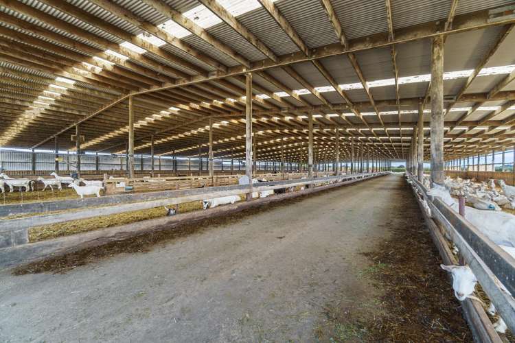 1532 Orini Road Taupiri_2