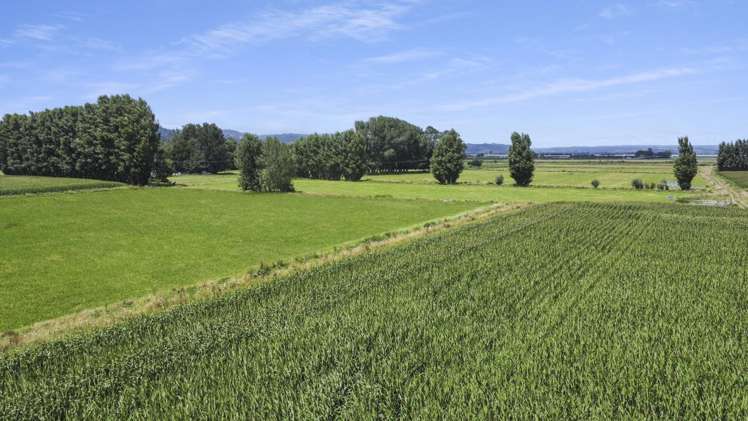 434-454 Awakeri Road Edgecumbe_10