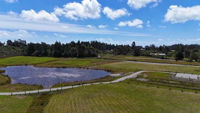 Alma/McPadden Road Westport_4