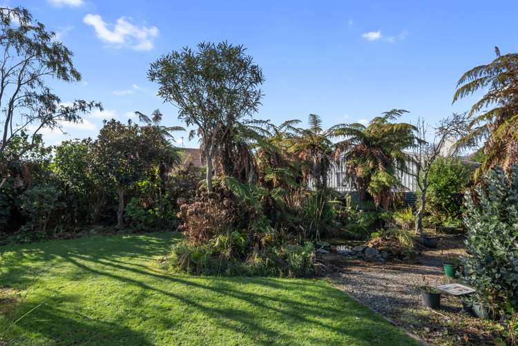 30 Graham Street Levin_16