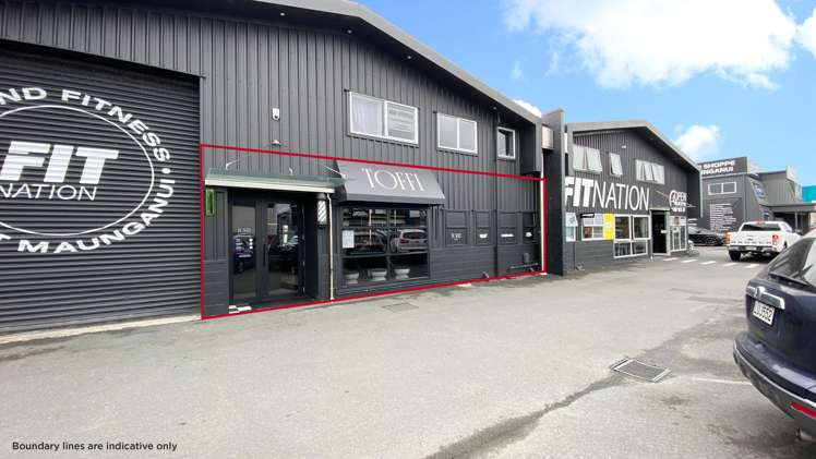 Ground Floor/150 Newton Street Mt Maunganui_6