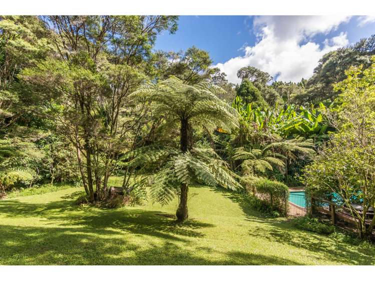 9 Waerenga Place Titirangi_16