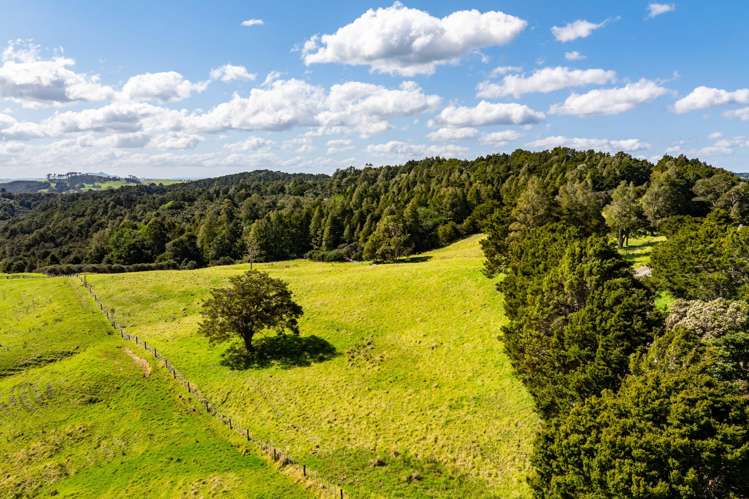 Baker Road Maungatapere_3