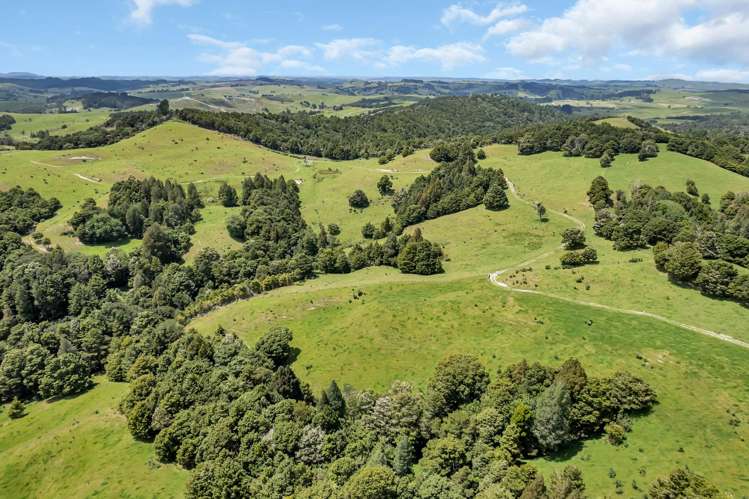 123 Homackey Road Matakohe_15