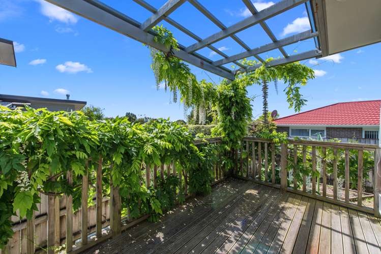 253 Boucher Avenue Te Puke_8