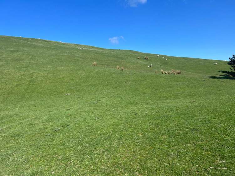 463 Waihi Valley Rd Dannevirke_25