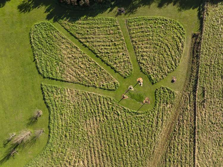 652A Te Whiti Road Te Whiti_22