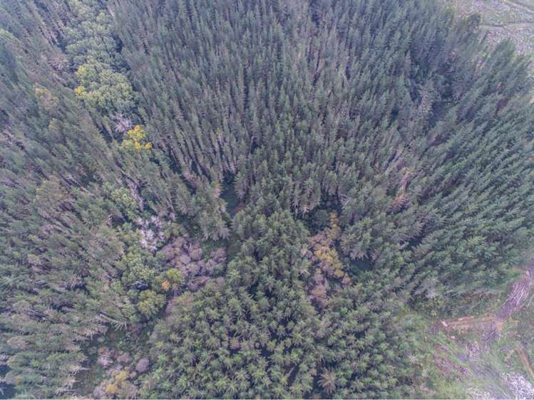 15 State Highway 49 Ohakune_9