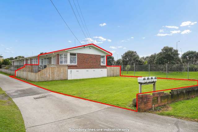 Brick Beauty in Mt Roskill