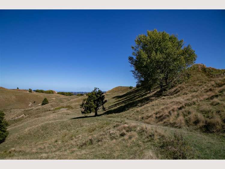 386 State Highway 4 Upokongaro_5