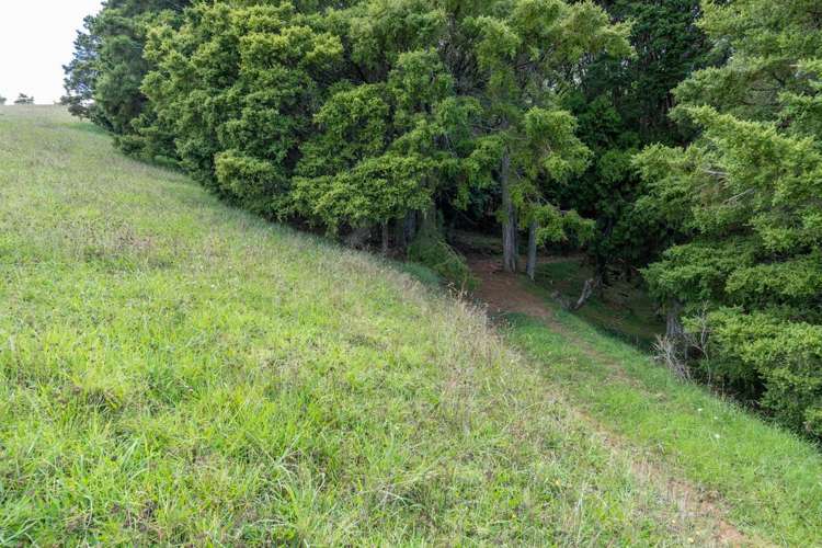 229 Hupara Road Pakaraka_9