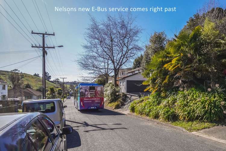 53 Murphy Street Toi Toi_15