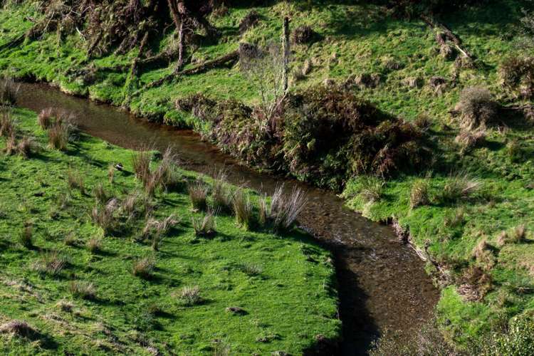 23 Mahoe Road Waitomo_5