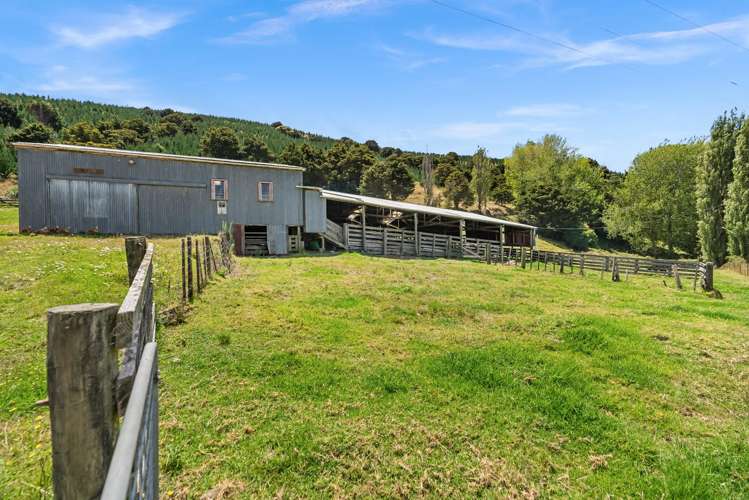 1408 Omana Road Tangiteroria_26