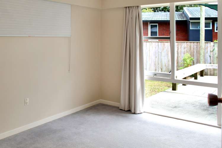 292 Park Road Hokowhitu_6