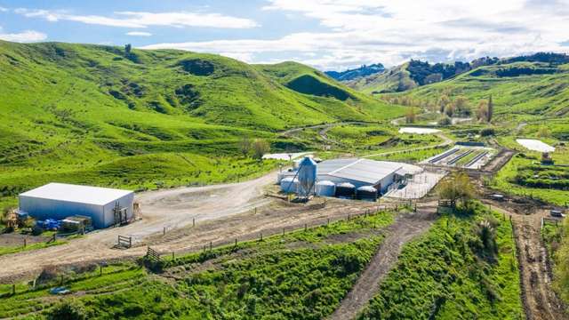 Big dairy conversion farm north of Gisborne