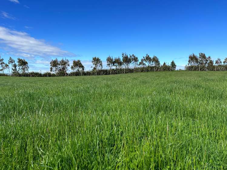 30 Frazer Road Gore Surrounds_15