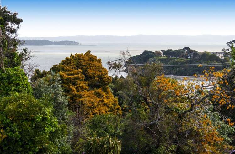 57 Seacliffe Road Hillsborough_22