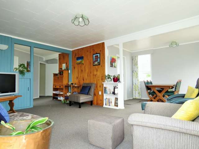 183 Tiro Tiro Road Levin_2