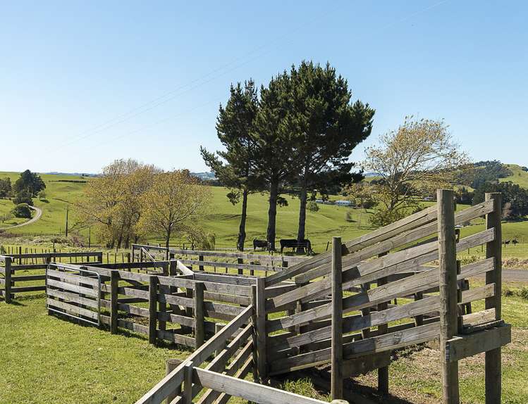 32 Hull Road Te Kohanga_10