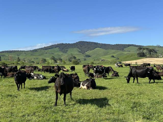 Self contained with scale