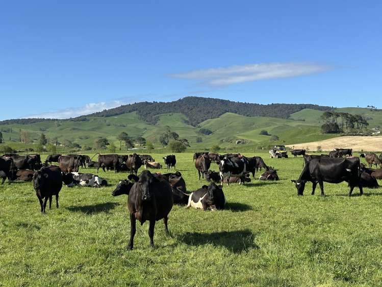 258 Paratu West Road_0