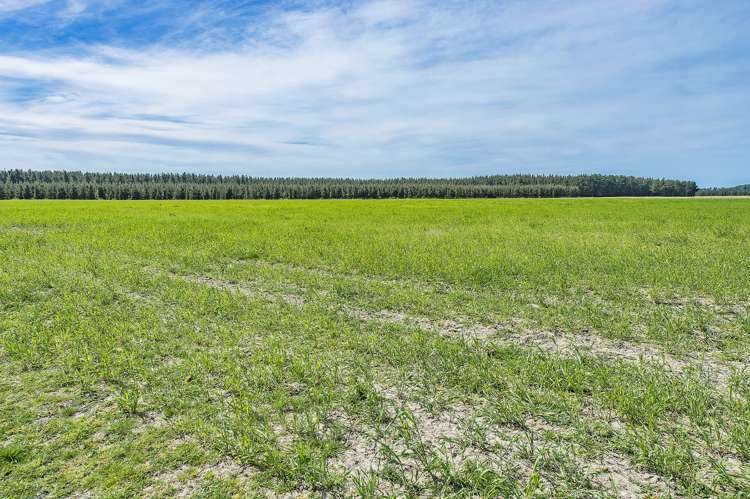 Weedons Ross Road West Melton_14