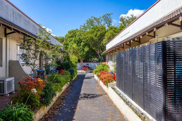 294 Manukau Road Epsom_14