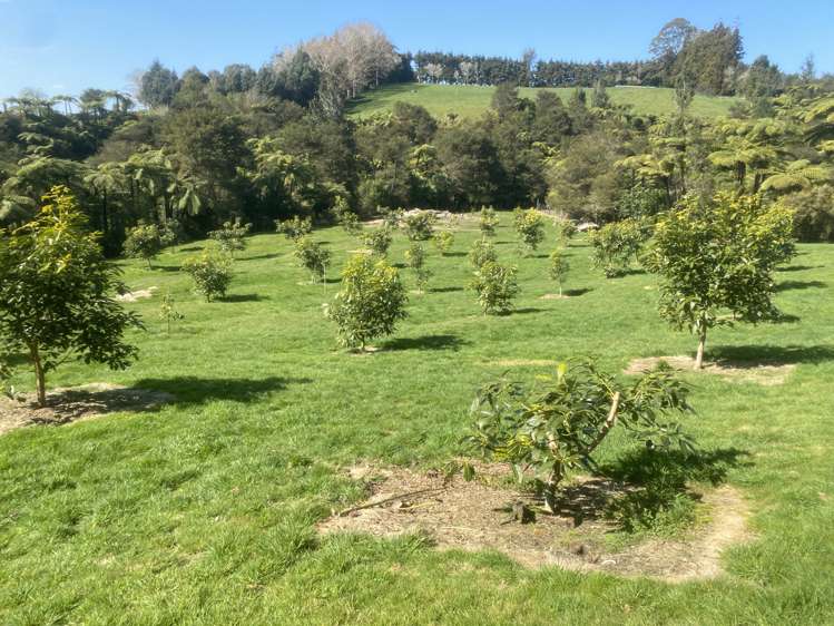 35 Hume Road Aongatete_28